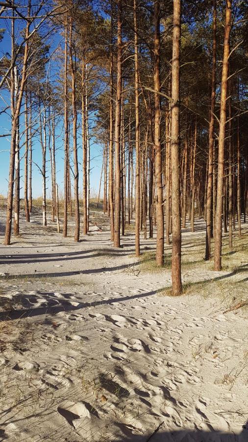 Zurawi Las Сашино Экстерьер фото